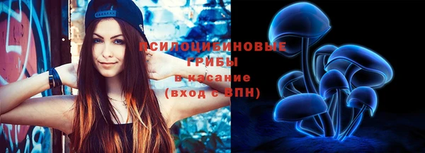 мяу мяу мука Баксан